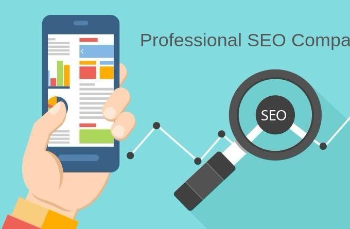Difference Between an Ordinary SEO Service and a Professional SEO Company