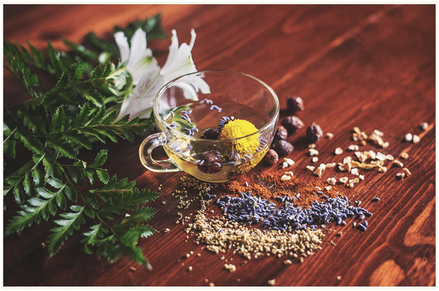 6 Herbs to Boost your Immune System